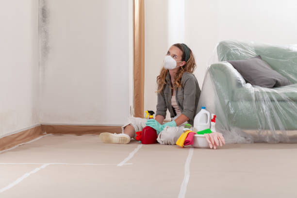 Trusted Crawl Space Mold Removal service in Carlstadt, NJ - WQB Mold Removal
